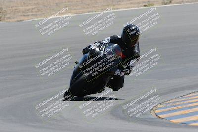 media/Apr-09-2023-SoCal Trackdays (Sun) [[333f347954]]/Turn 10 (115pm)/